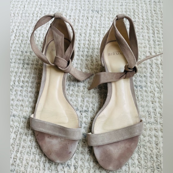 Alexandre Birman Clarita Suede Ankle Tie Sandals, Tan - Picture 6 of 9